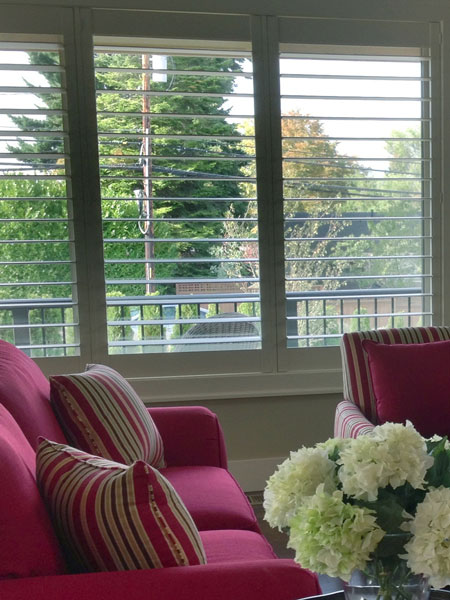 Shutters w/ no Tilt Bar
